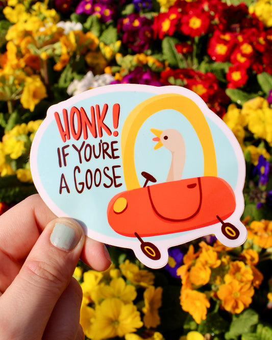 Honk Silly Goose Bumper Sticker