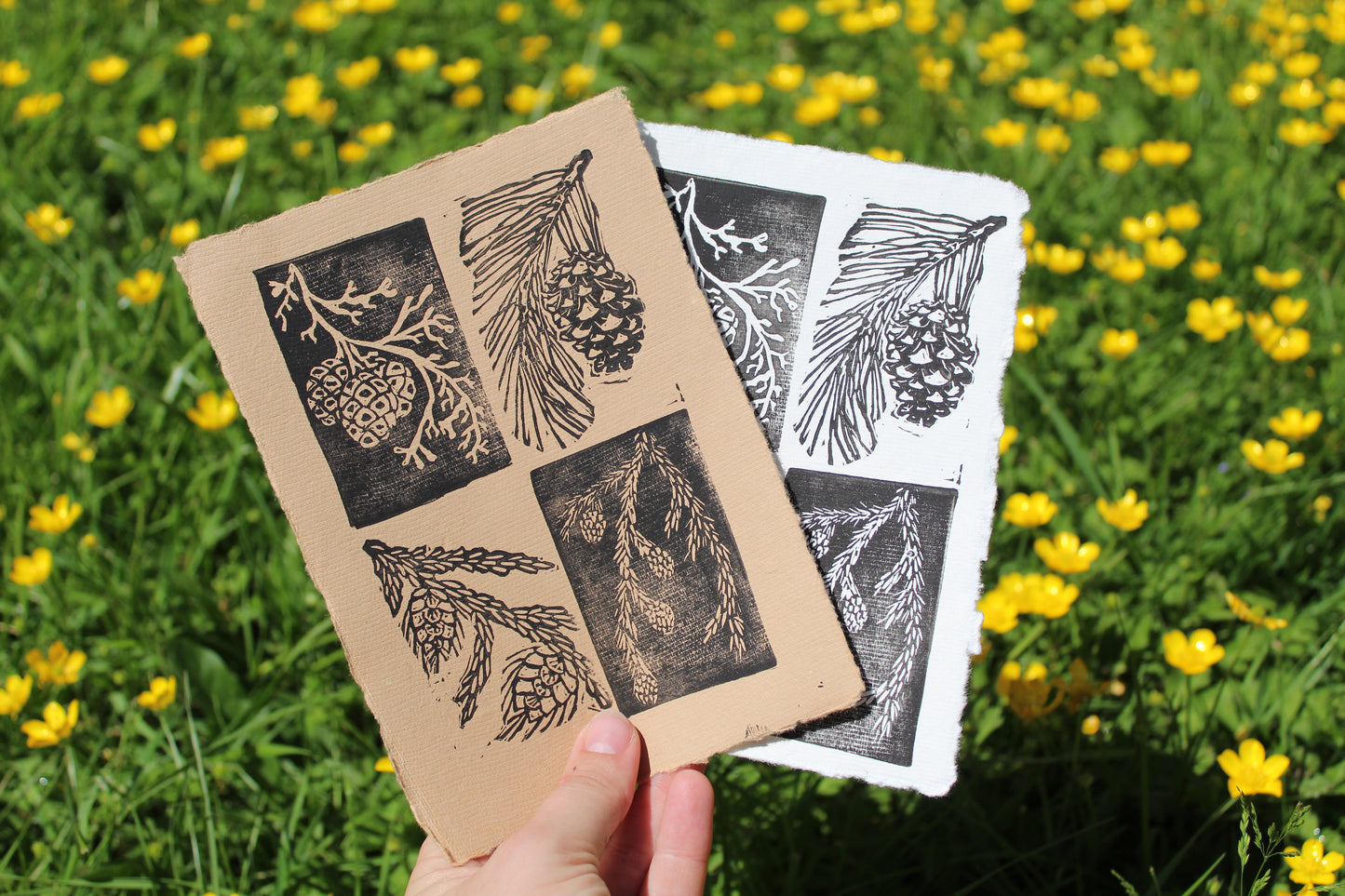 Pine Cone Handmade Linocut Print