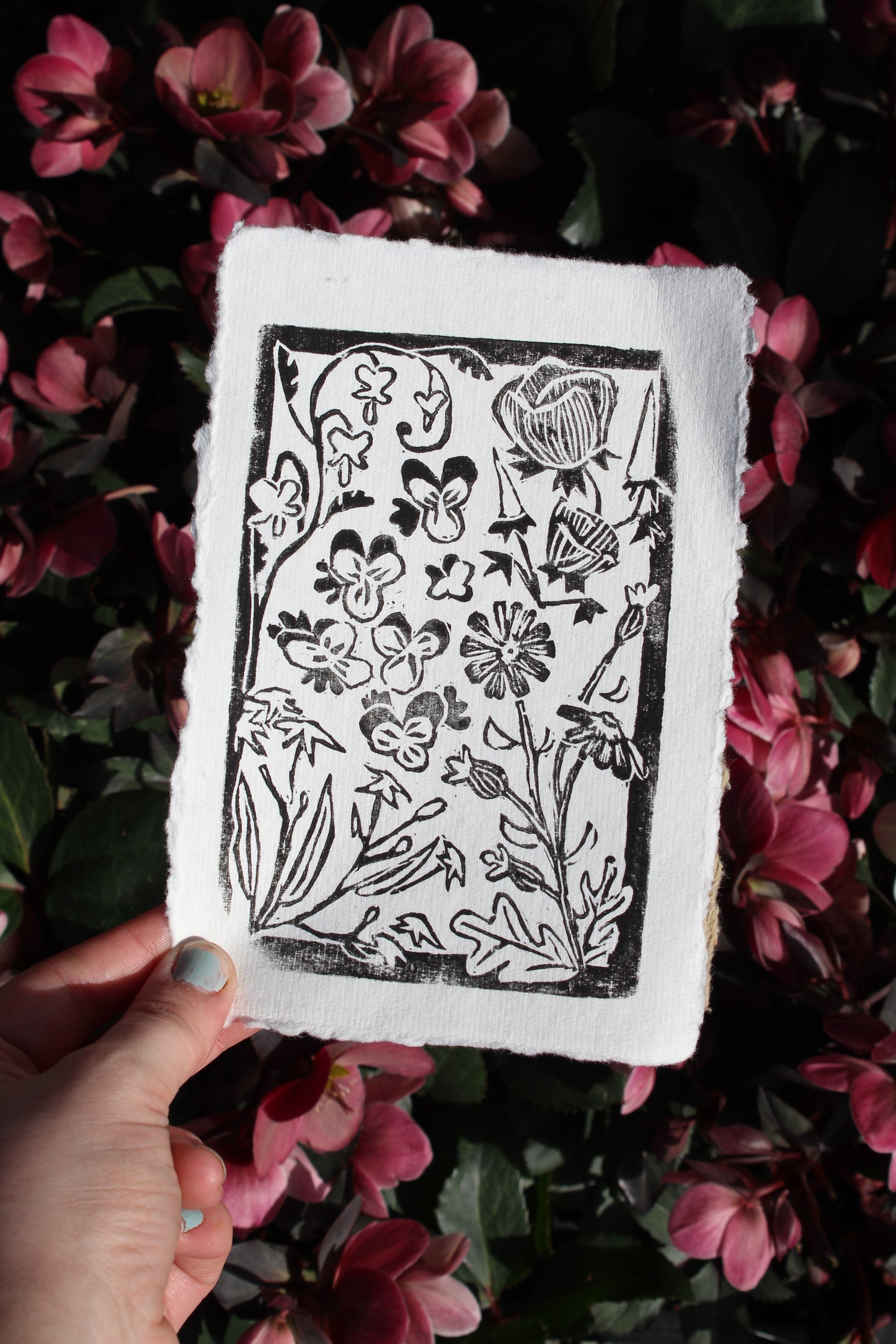 Wild Garden Print