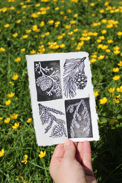 Pine Cone Handmade Linocut Print