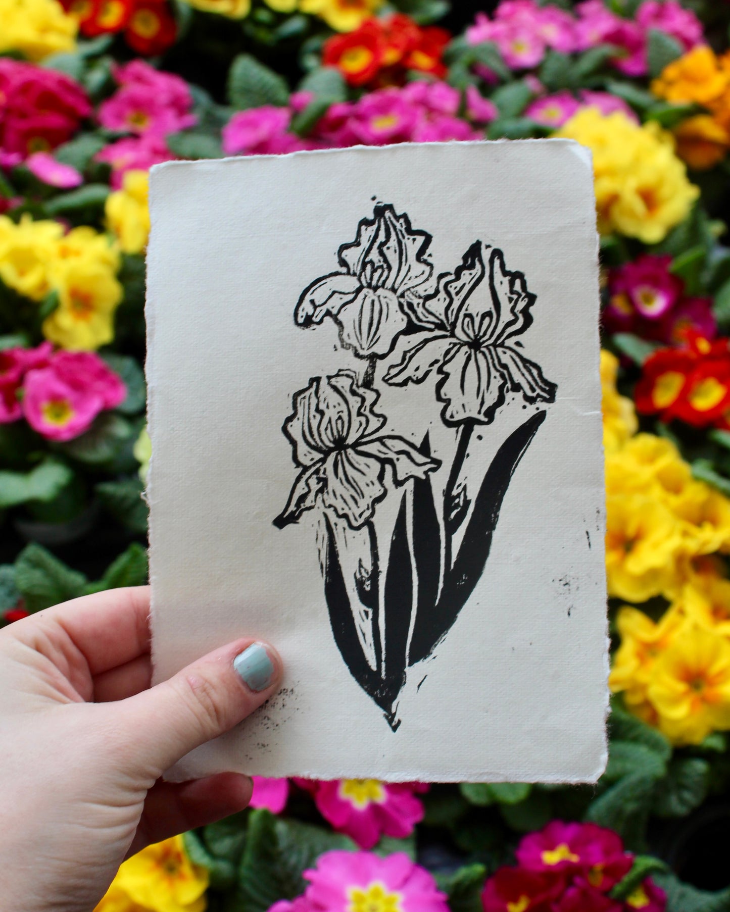 Twin Iris Linocut Print