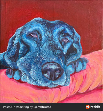 Pet Portrait Commission 8x8 Acrylic on Canvas