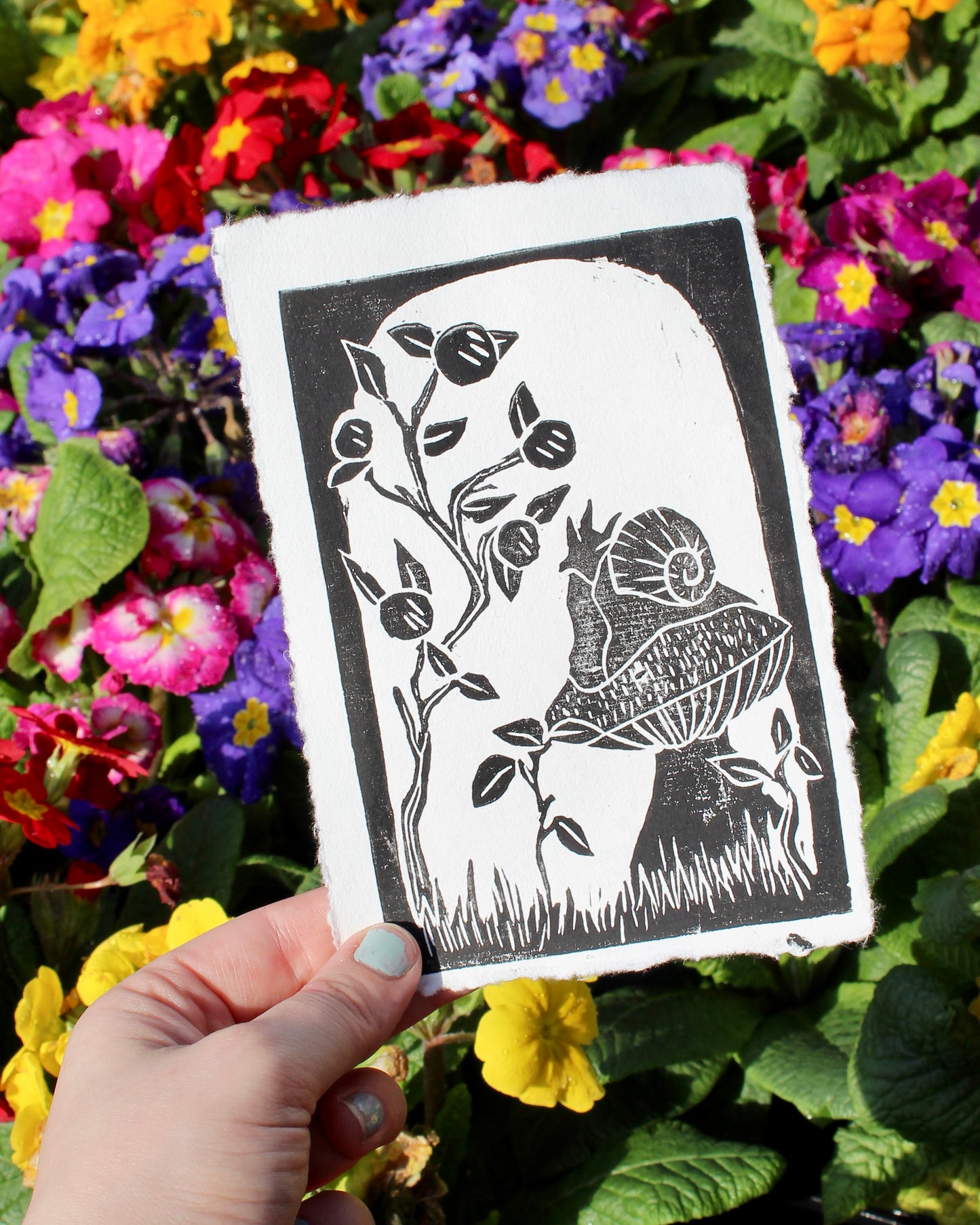 Garden Snail Lino Print